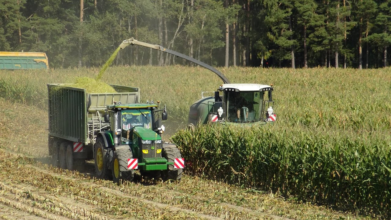KUKUŘICE Z KATANOU 85 / HARVEST OF CORN + TATRA + JOHN DEERE + NEW HOLLAND.