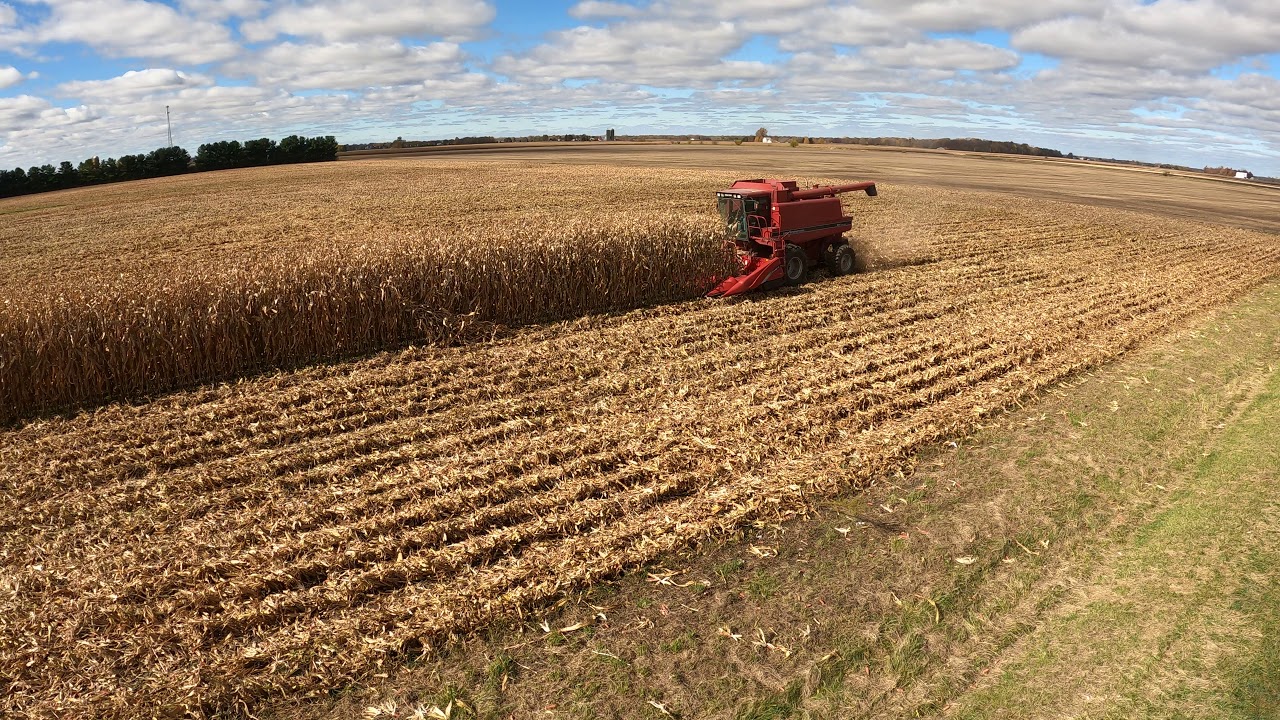 Father & Son Corn Harvesting -  1992 Case International 1680 - Fulton County - Harvest 2020