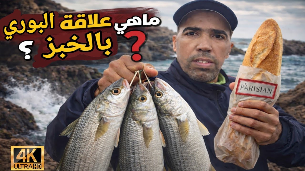 ما هو السر بين سمك البوري و الخبز ؟؟؟؟؟!