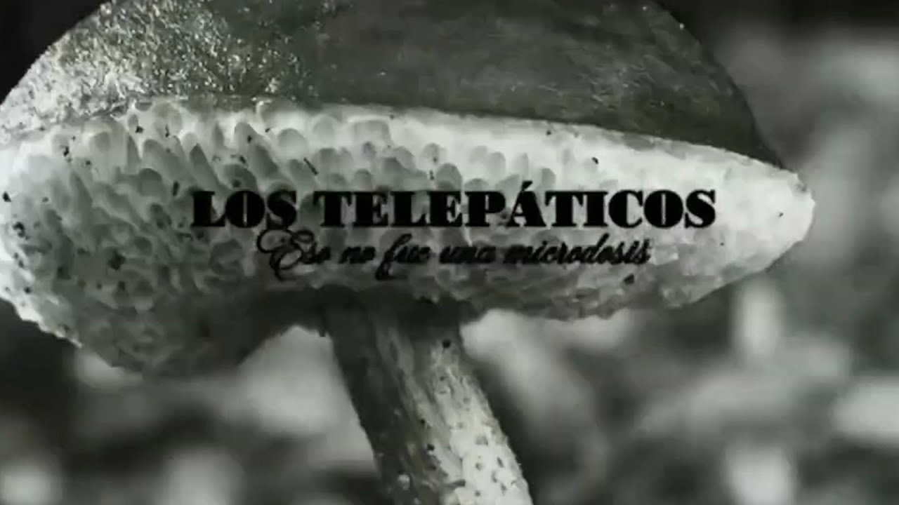 Los Telepáticos - Eso No Fue Una Microdosis (Videoclip Oficial)