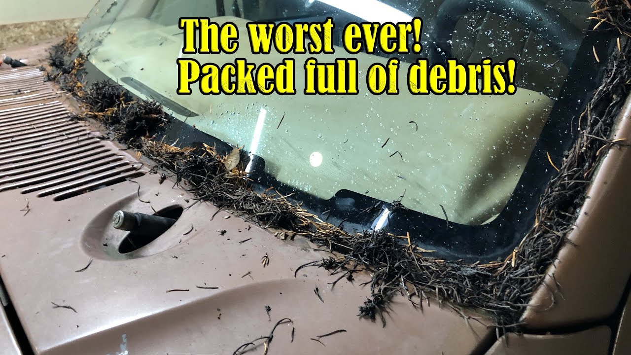 You've Got To See This Mess! | Ford F-150 Wiper Cowl Debris Removal and Cowl Upgrade