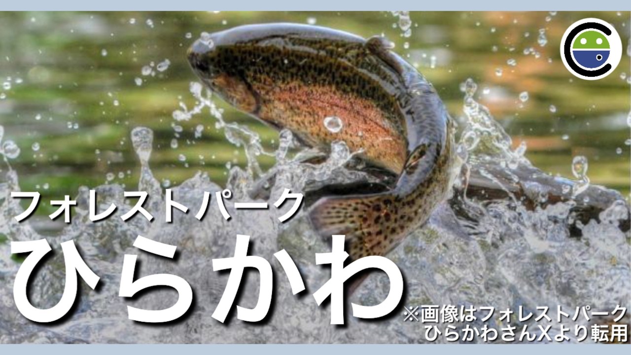 フォレストパークひらかわは大物天国でした【エリアトラウト】