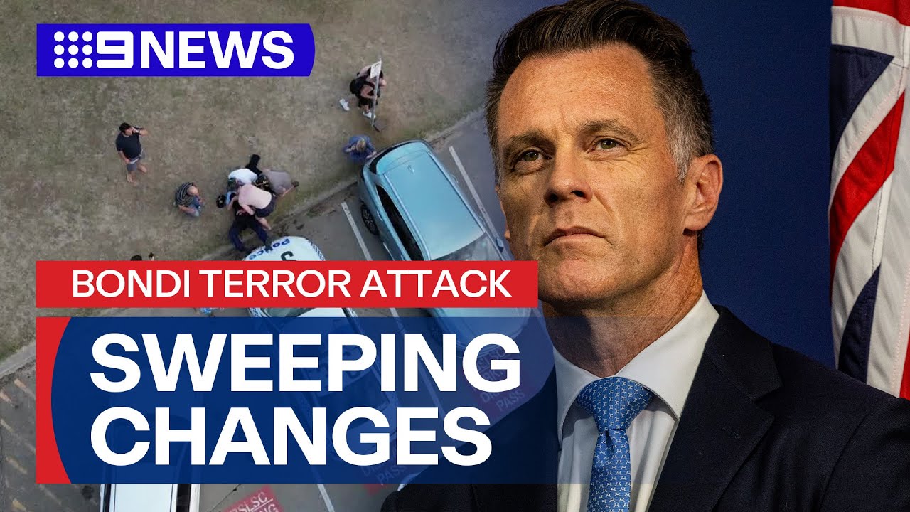 Premier signals sweeping gun law changes, clampdown on protests | 9 News Australia