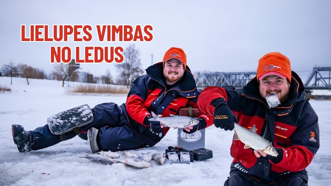 Vimbu zemledus copes Kults, ir atgriezies!!!