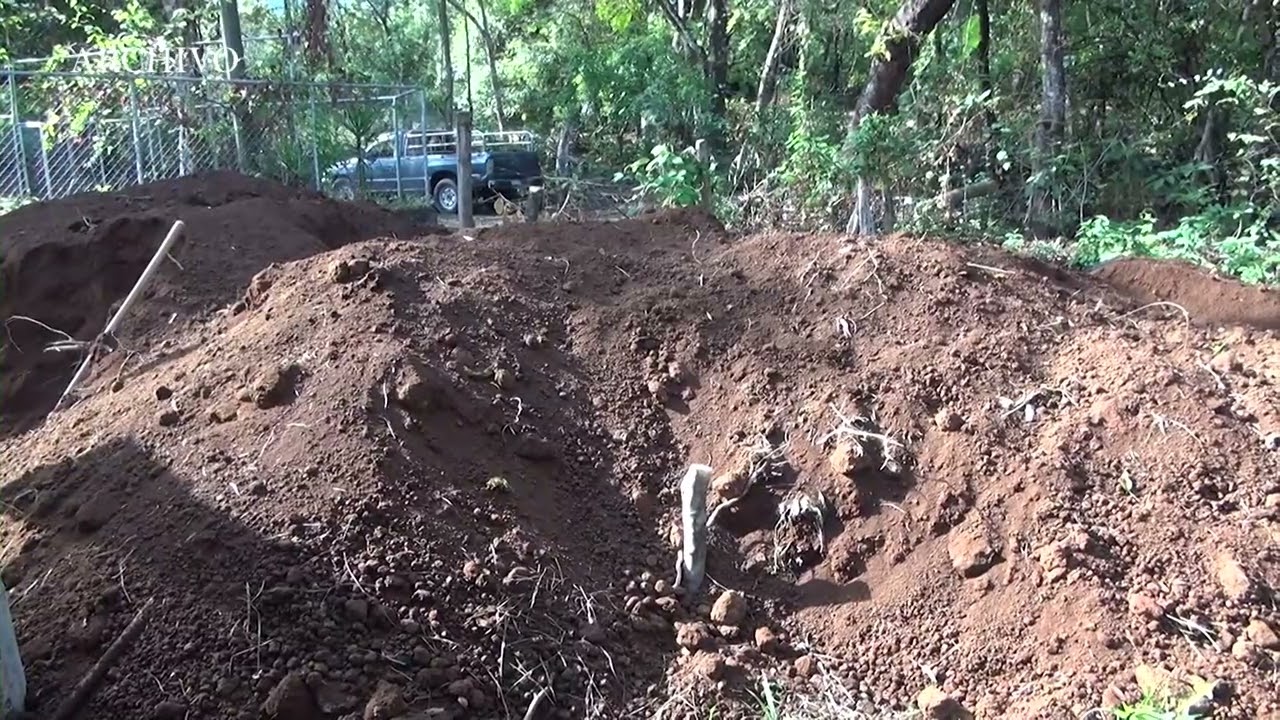 SAN SIMÓN IMPULSA VIVERO MUNICIPAL CON PLANTAS NATIVAS PARA FORTALECER LA REFORESTACIÓN