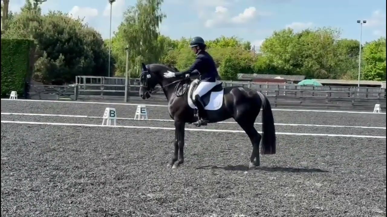 Koning Albert in his Advanced Medium FTM