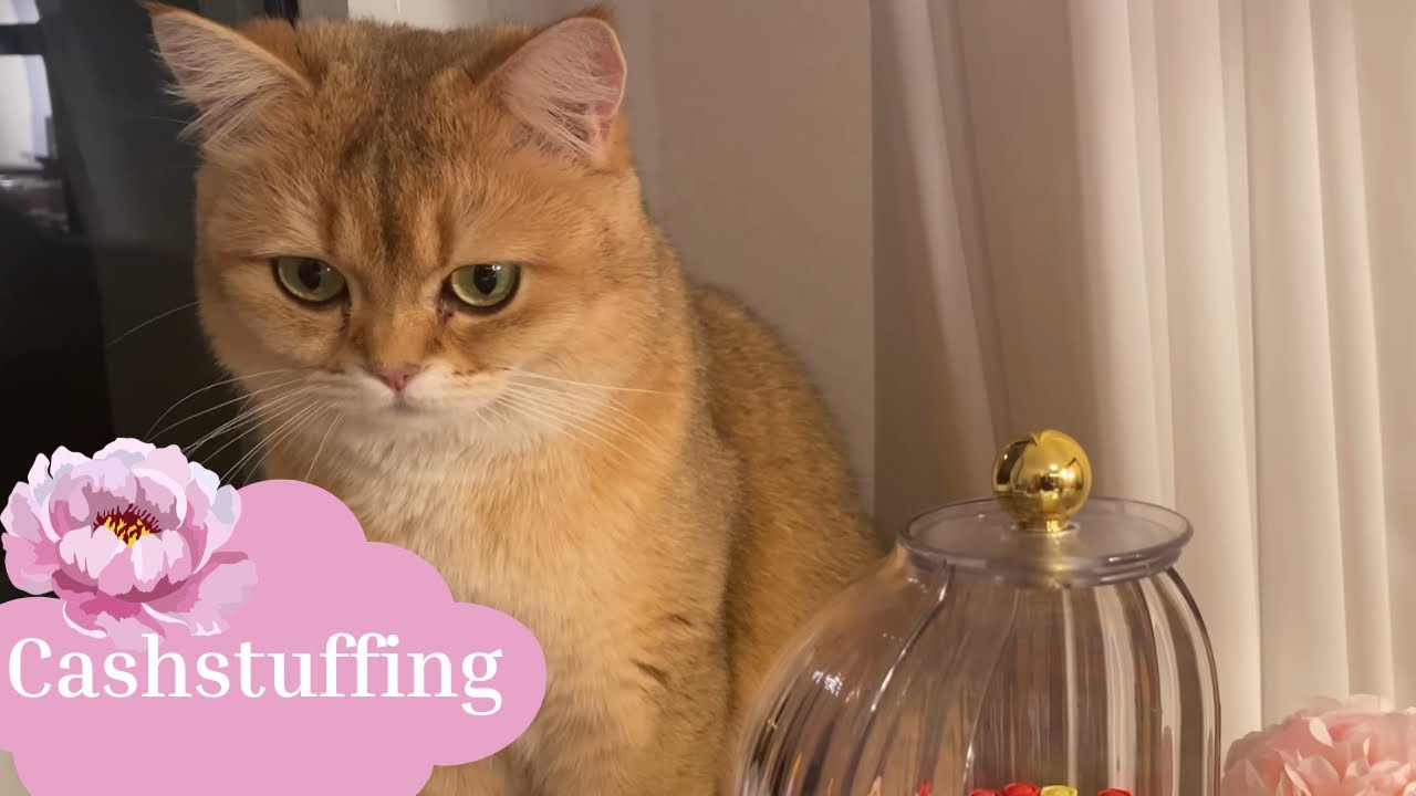 Cashstuffing mir Assistentin für März 2026 🌹 😸😸| Sparen mit der Umschlagmethode  🌹