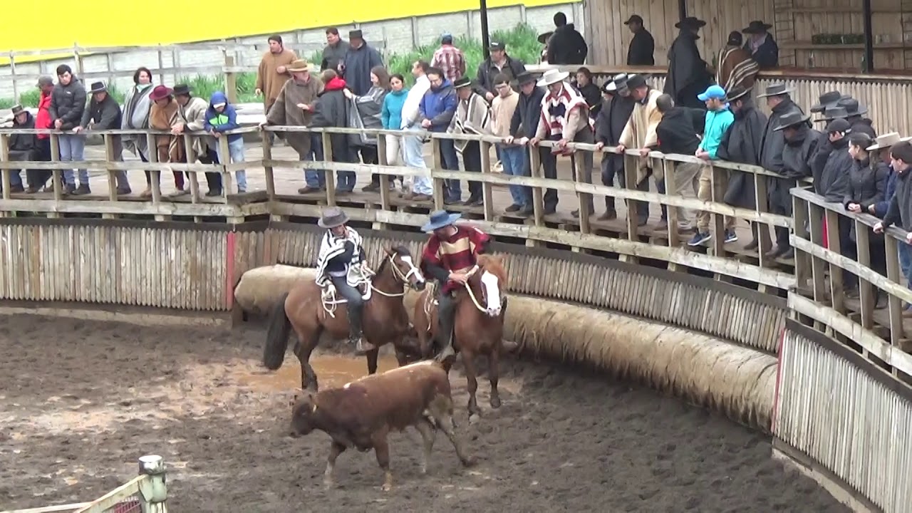 Rodeo de Puren  Asoc. Malleco
