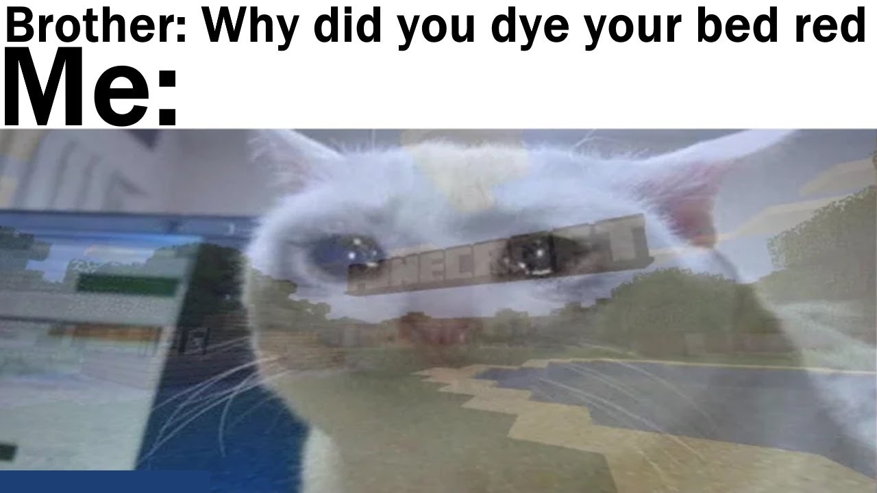 Minecraft Memes 47