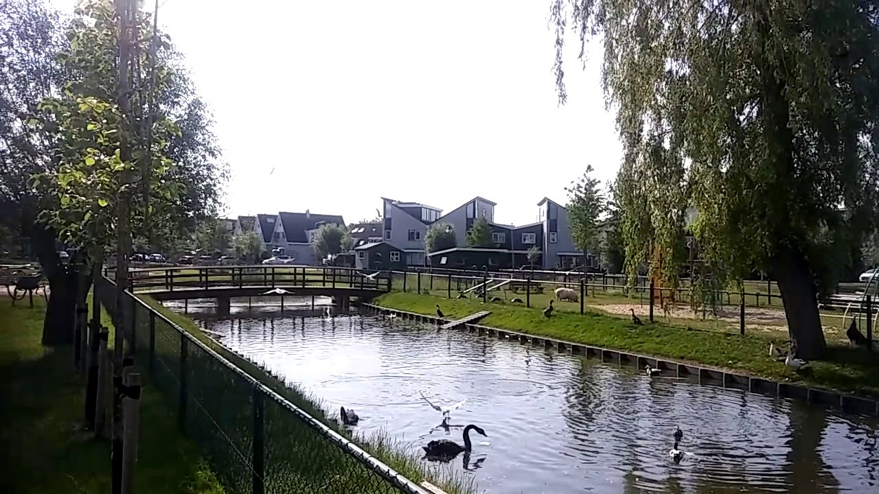 vogelstand