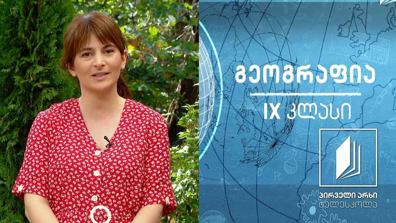 გეოგრაფია IX კლასი - საქართველოს რელიეფის ტიპები #ტელესკოლა