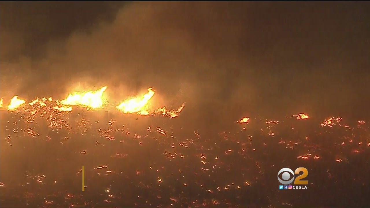 CBS2 News at 11 p.m. (Nov. 13)
