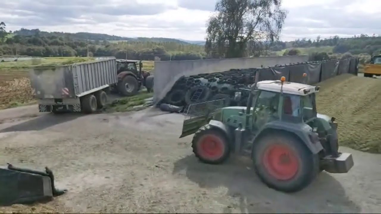 Ensilando Maiz en Trazo 2020 en Ganaderia Castro Buxia con Servicios Agricolas Bermudez