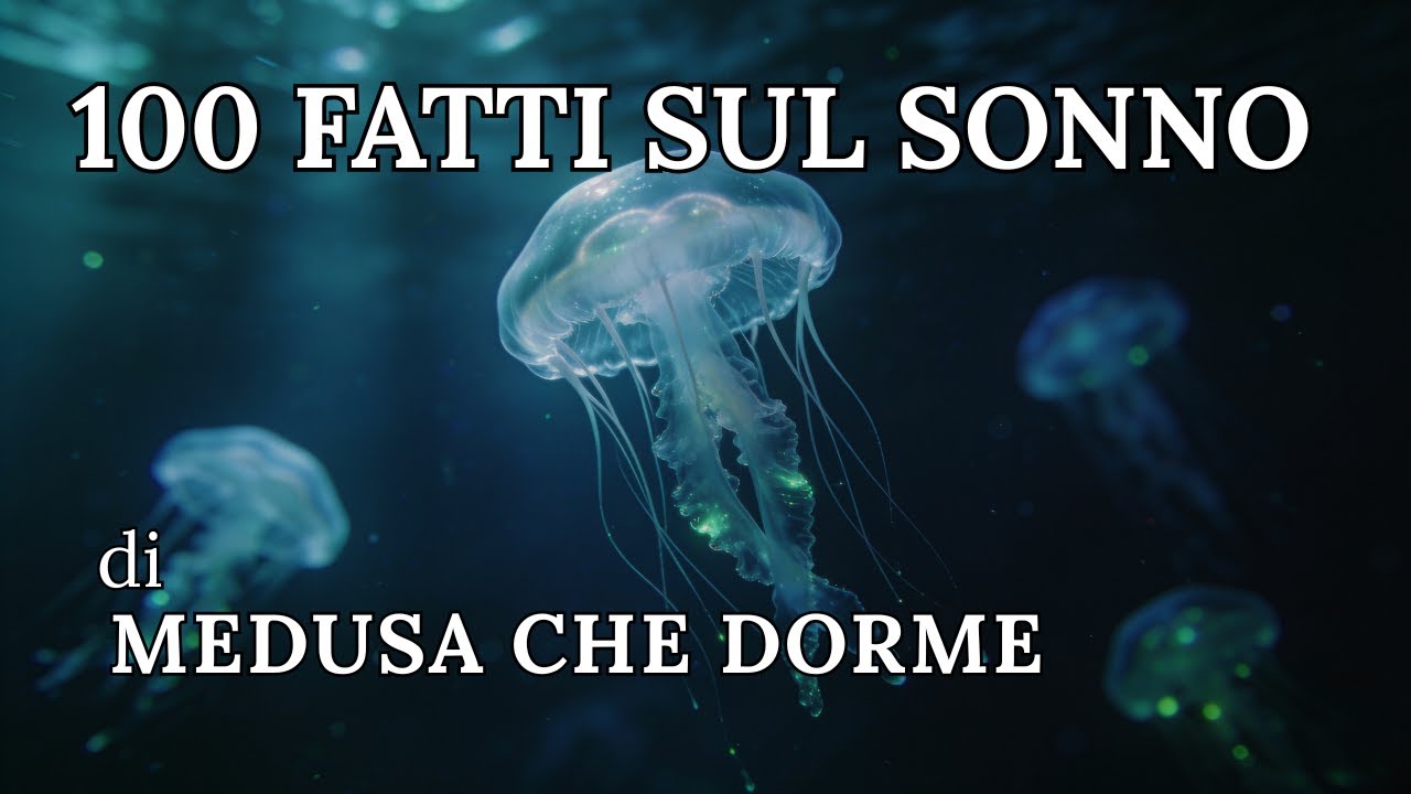 La storia del sonno delle meduse 🌙 Fatti sugli abissi oceanici per menti calme (scienza rilassante)