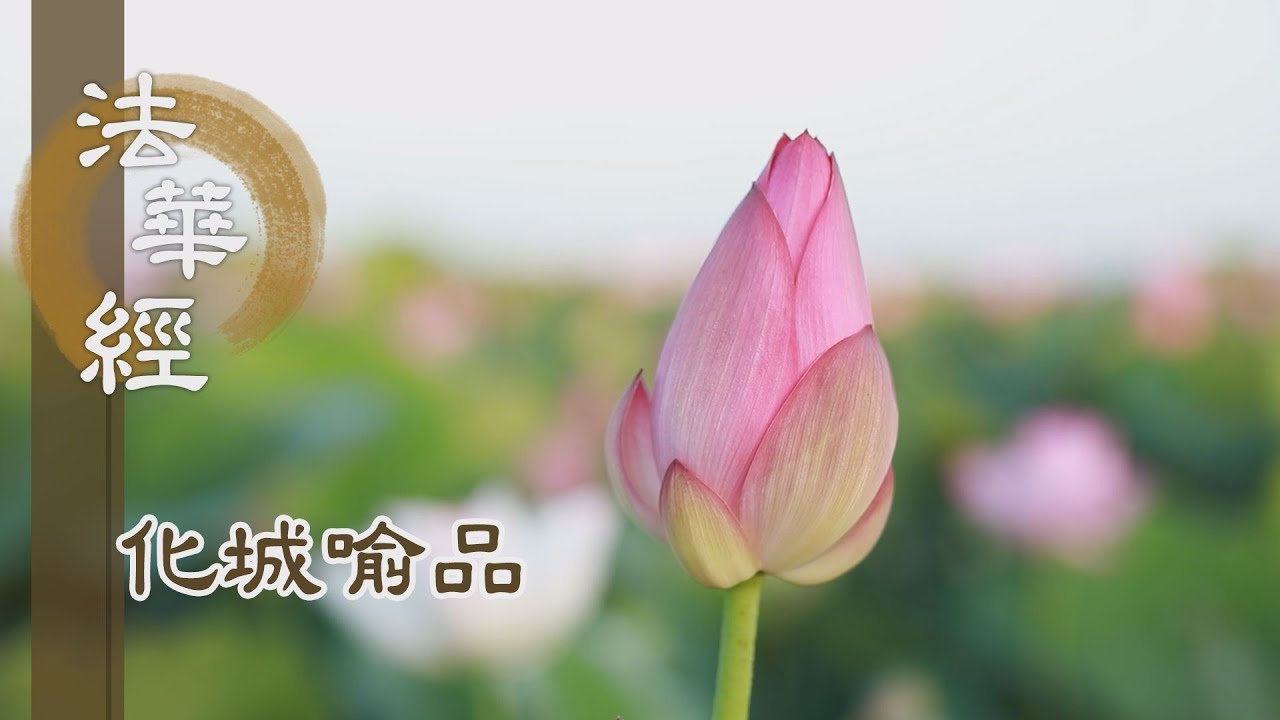 【靜思妙蓮華】法華經化城喻品 - 傳心燈 續慧命 - 20211229 第1056集