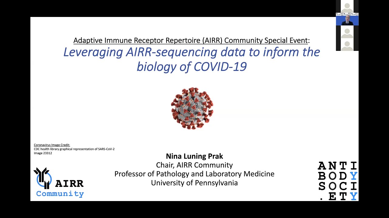 AIRR-C Special Event: Leveraging AIRR-seq data to inform the biology of COVID-19 (N. Luning Prak​)