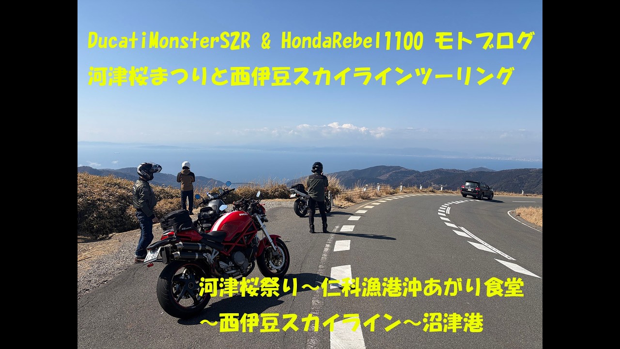 【モトブログ】ドゥカティモンスターＳ２Ｒ＆ホンダレブル１１００河津桜祭り～西伊豆スカイラインツーリング