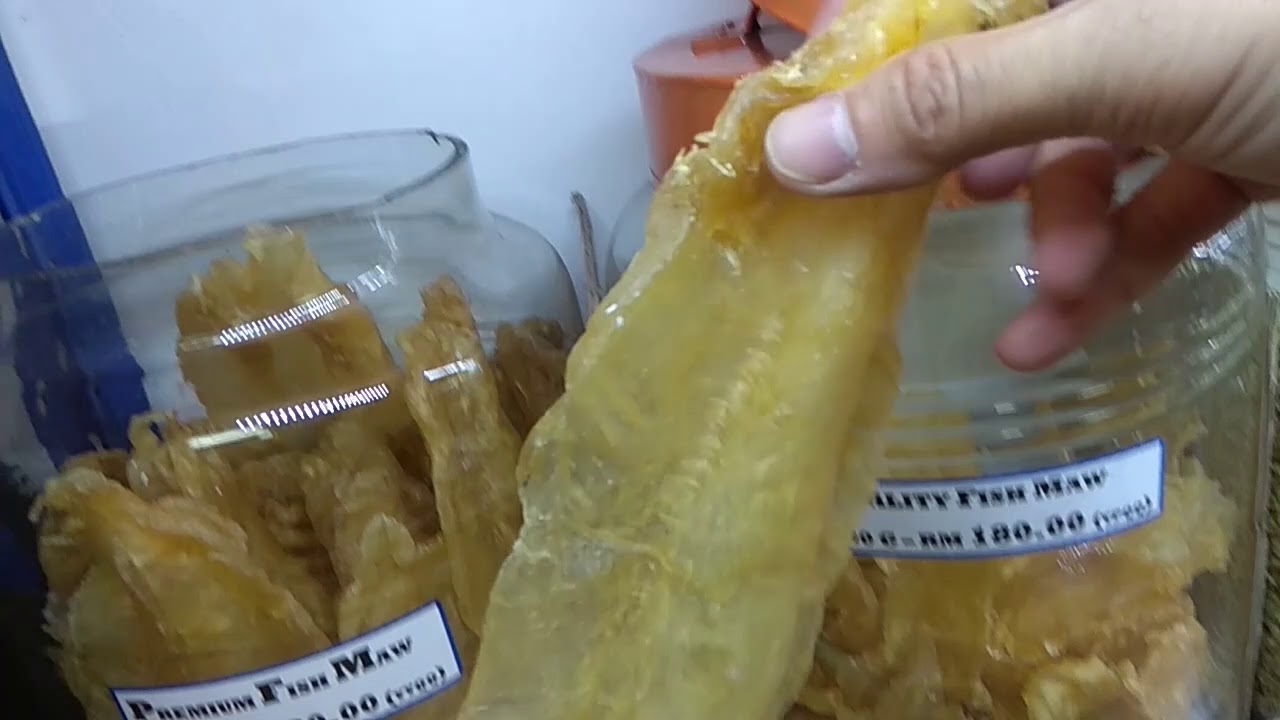 Grade AA Fish Maw Size 230g to 310g per pc