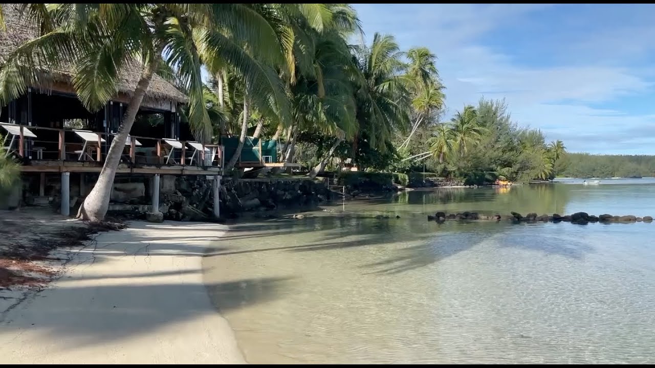 The Best Beachfront Hotel on Moorea, French Polynesia| Les Tipaniers