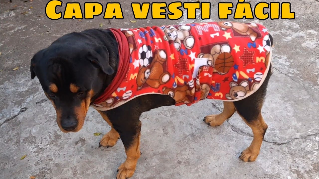 Capa veste fácil/ Cães idosos/ Galgo/ Pit Bull/ Molde na descrição