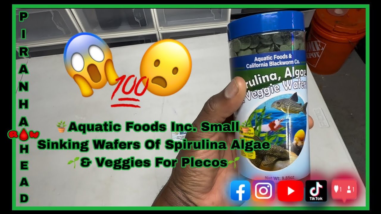 Spirulina, Algae& Veggie Wafers