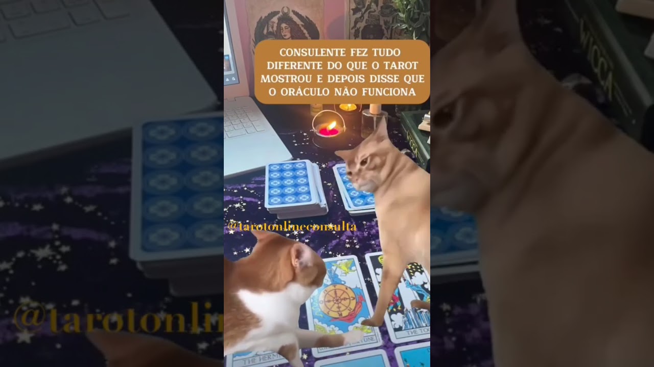 #TAROTONLINE#TAROTCONSULTA#TAROTLEITURA #CONSULTAESPIRITUAL#CONSULTAESOTERICA #TARODODIA #TARODEHOJE