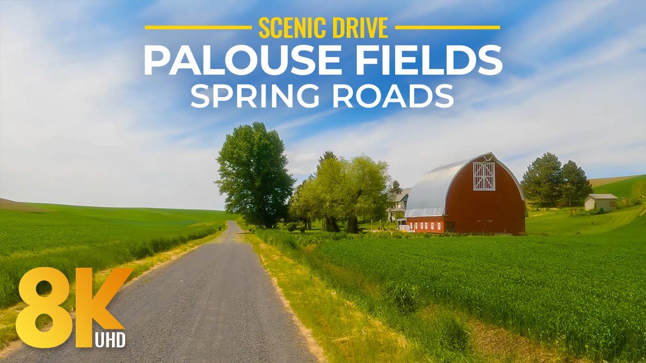 Stunning Landscapes of Palouse Area in 8K - Scenic Spring Roads through the Peaceful Rolling Hills