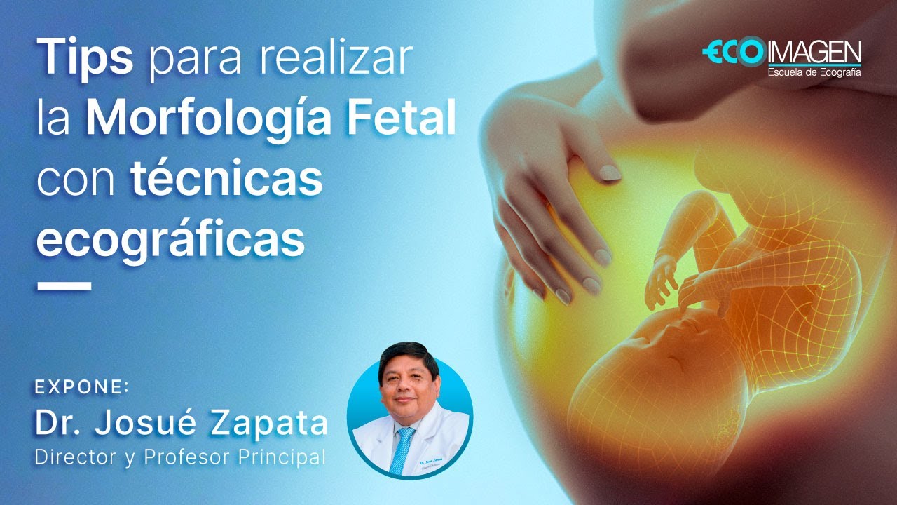 2º Masterclass 2021: Tips para realizar la Morfología Fetal con técnicas ecografícas