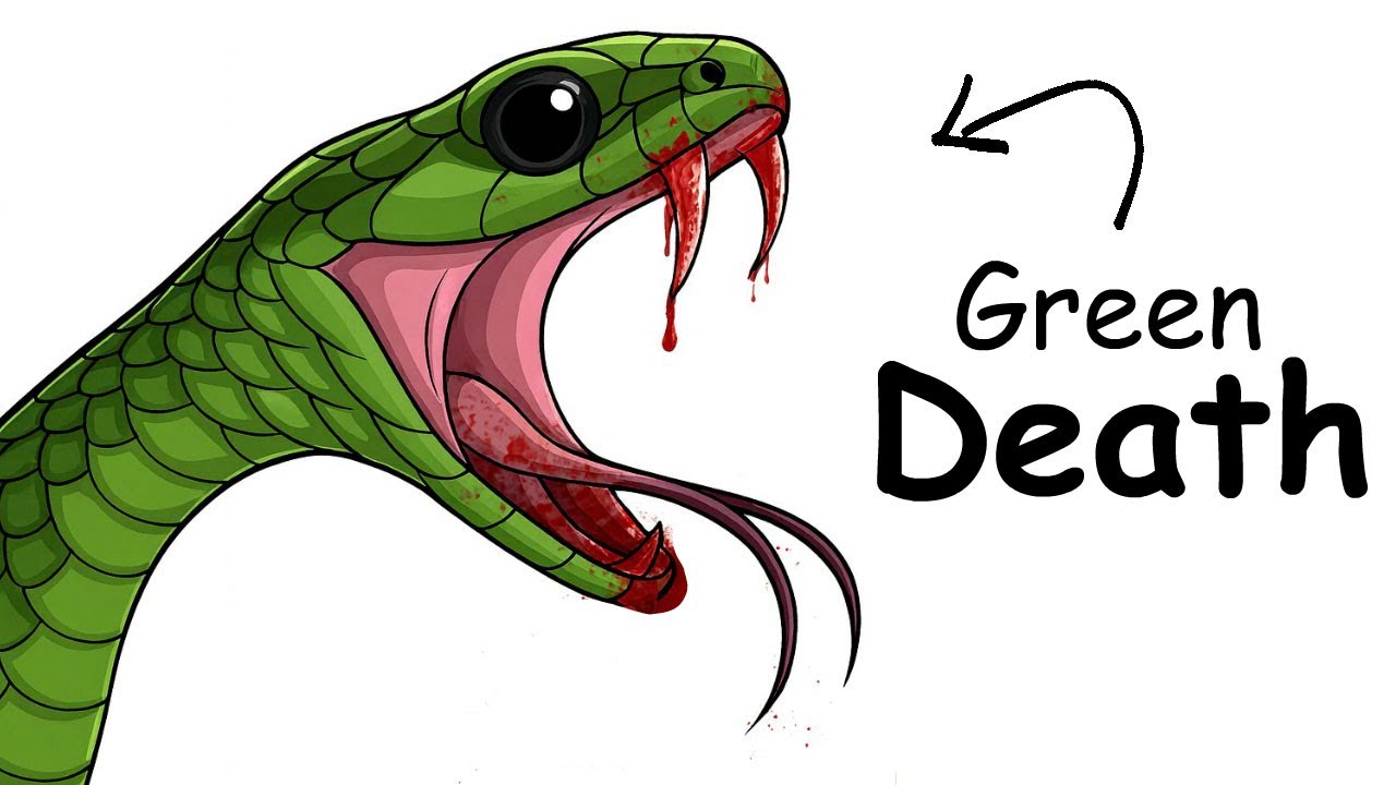 Why it sucks to be born as a Boomslang