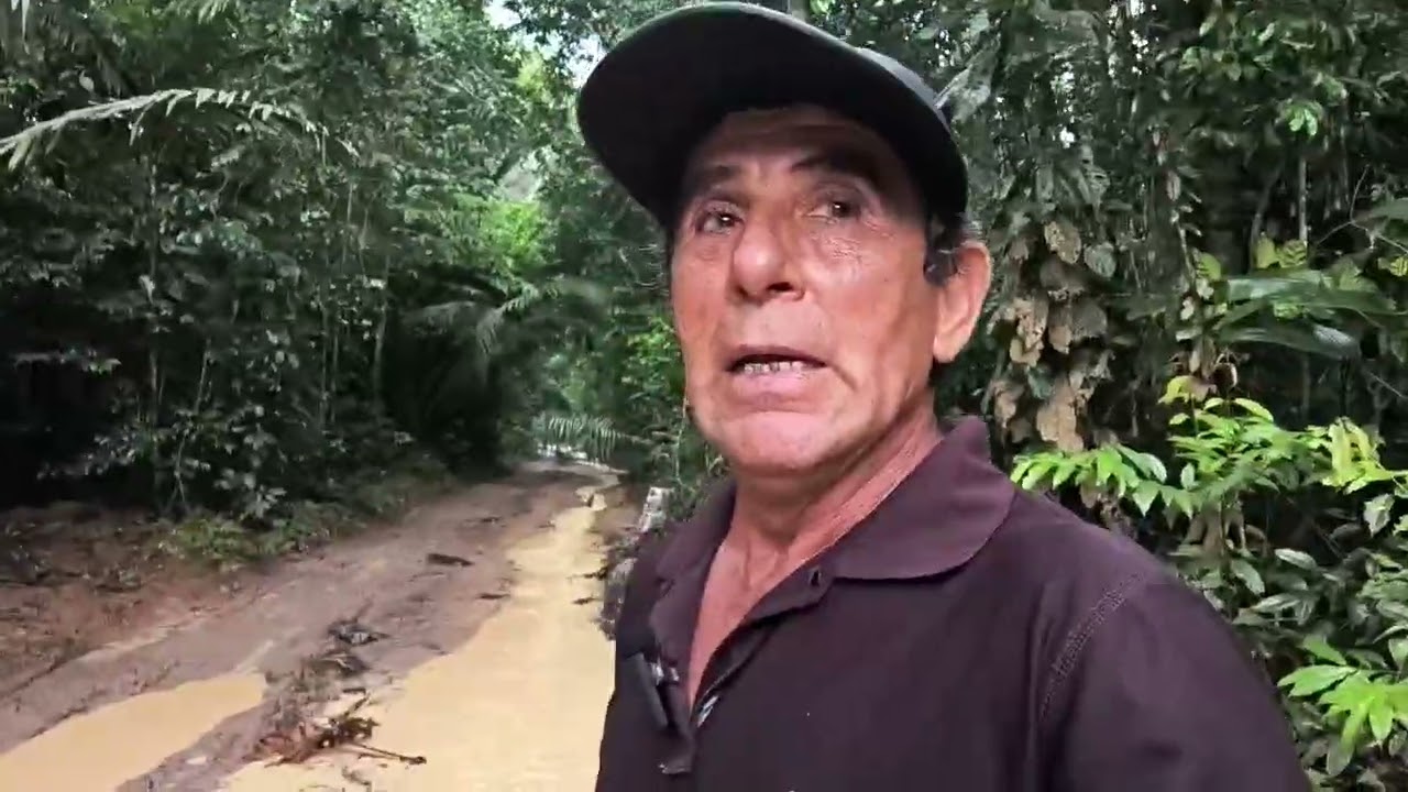 Perdido na selva! Parte 1