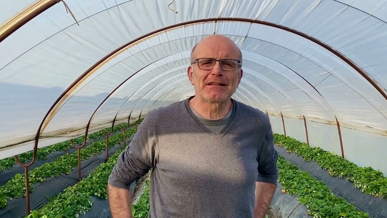COCOREADO Seed Initiatives: A trip to discover FoodHub Albania, with Bledar Meta