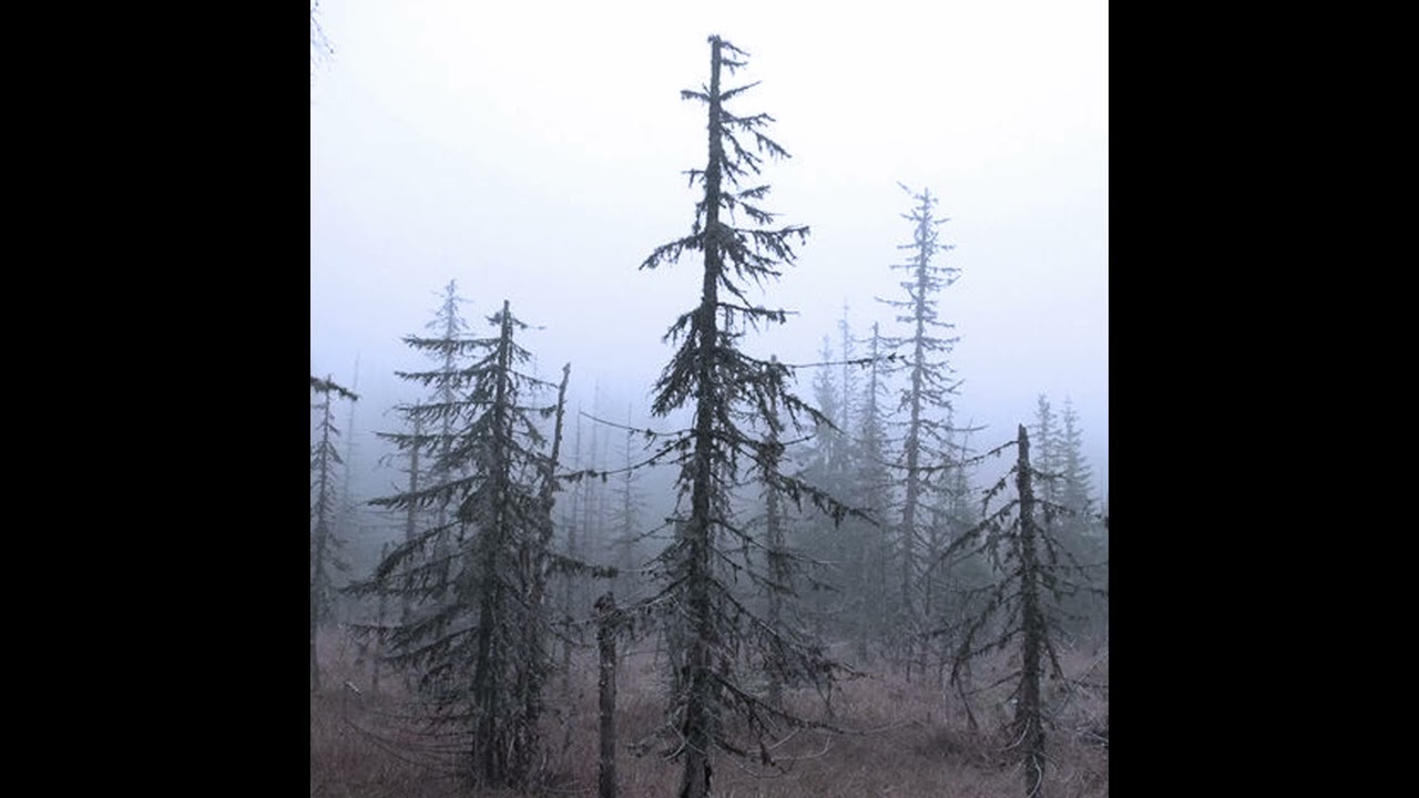 (FREE) nokia angel + witch house + experimental ambiant type beat - "rise" prod. zulji9