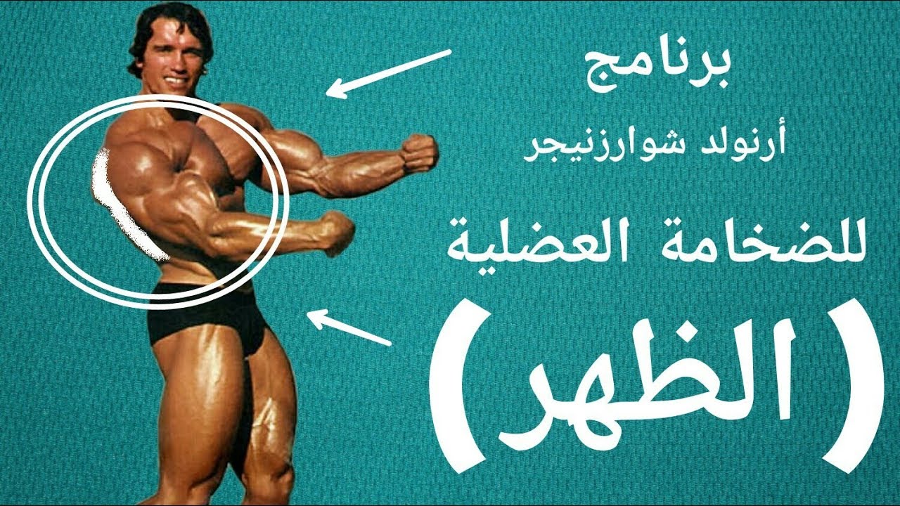 برنامج أرنولد التدريبي للضخامة العضلية | عضلة الظهر
