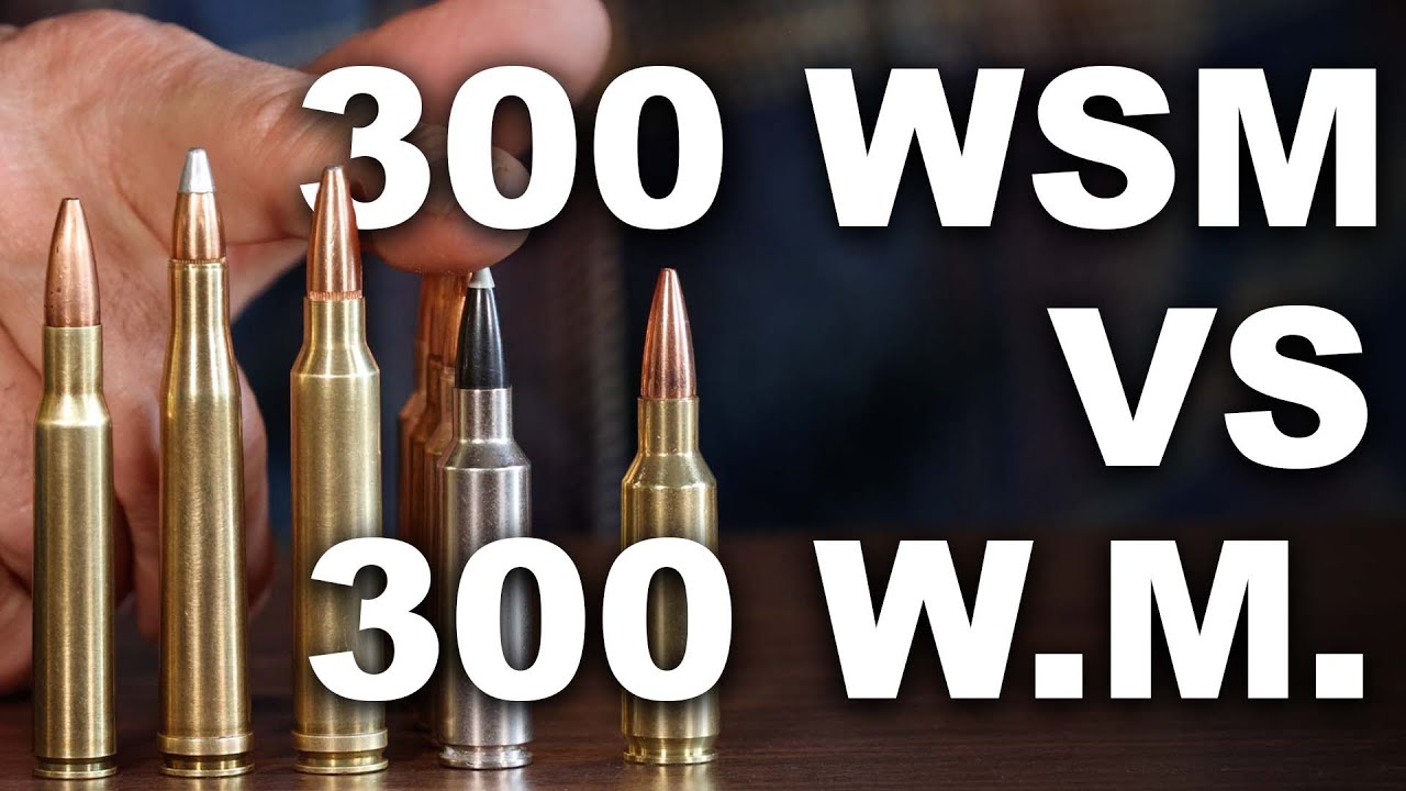 300 WSM vs 300 Winchester Magnum
