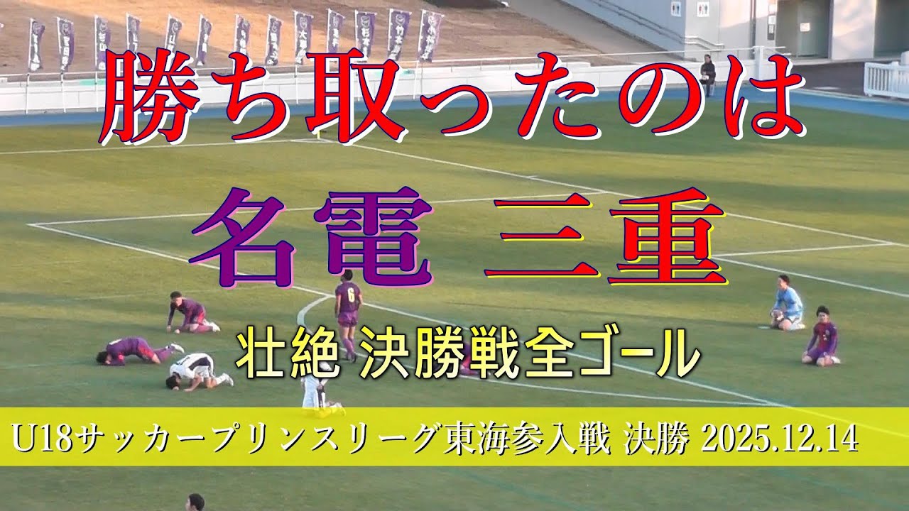 2025プリンスリーグ東海参入決勝戦 全ゴールダイジェスト