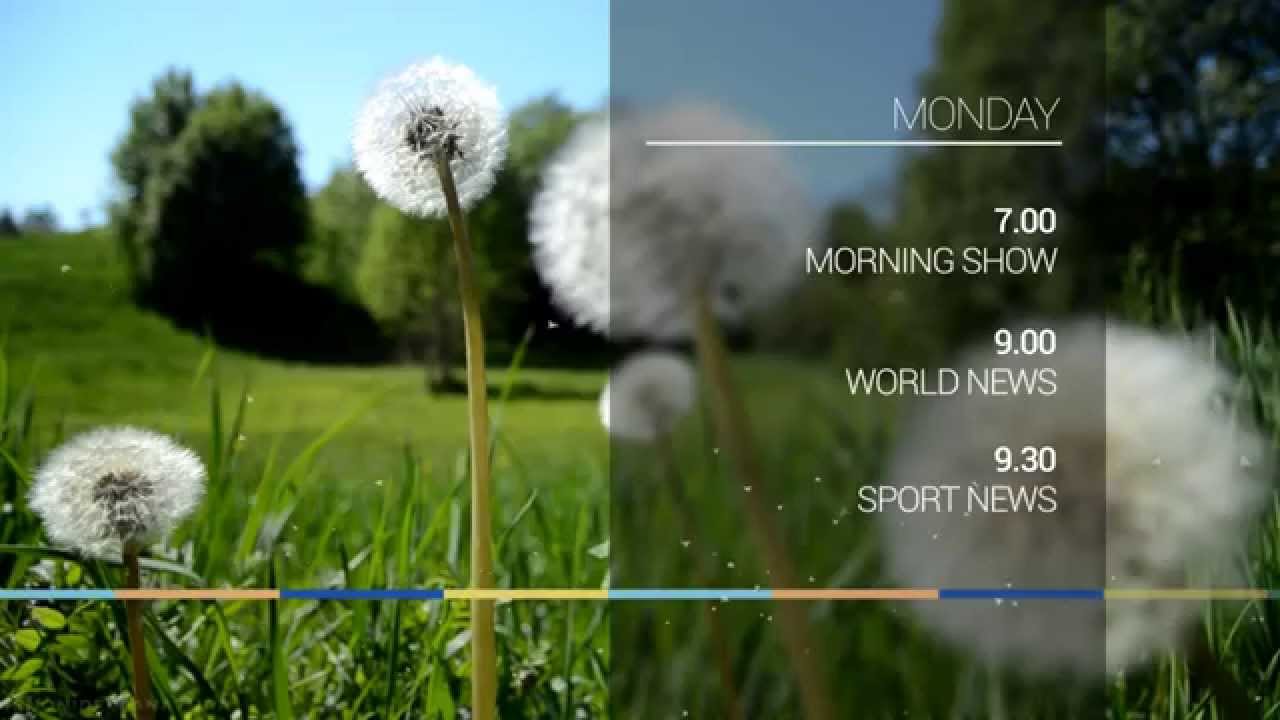 TV Broadcast package - FREE AFTER EFFECT TEMPLATE (HD, 60fps)