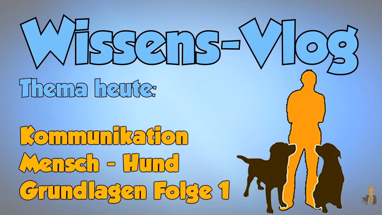Mensch Hund Kommunikation Teil 1 -  Erziehung Training Hund - Hundeschule Stadtfelle