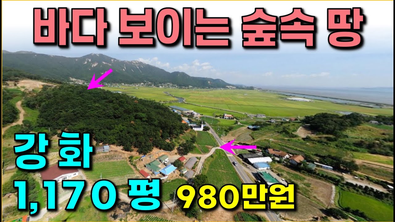 강화 . .1,170 평 / 바다 보이는 숲속 작은 임야 / 2차선도로에서 200m, 국유지 도로부지 접 / 전기 기본거리
