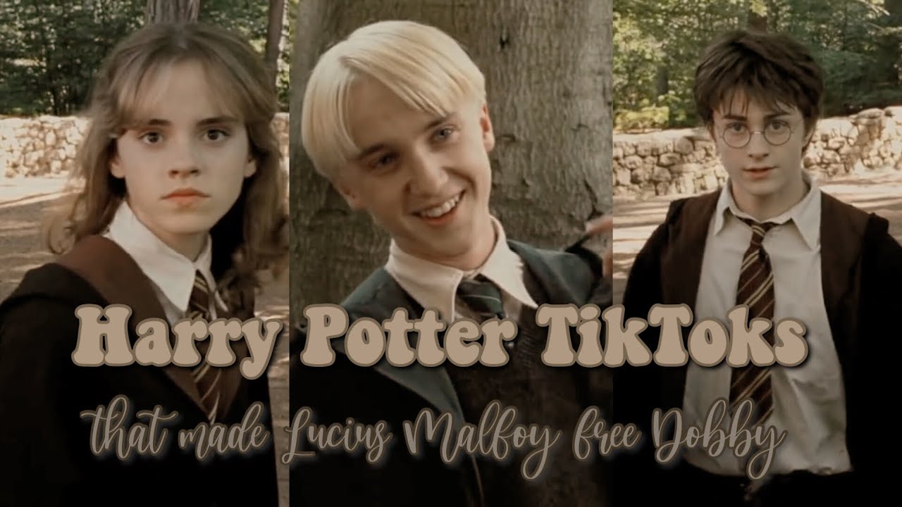 Harry Potter TikToks that made Lucius Malfoy free Dobby