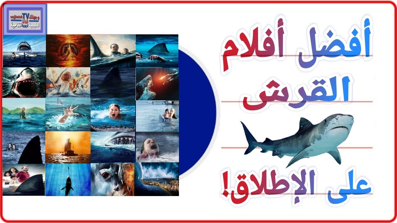 أفضل أفلام القرش على الإطلاق
