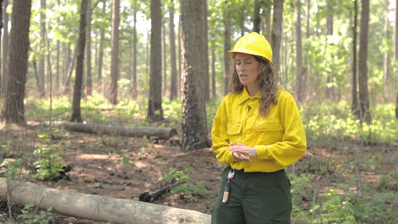 Outcomes of the Schenck Forest Burn