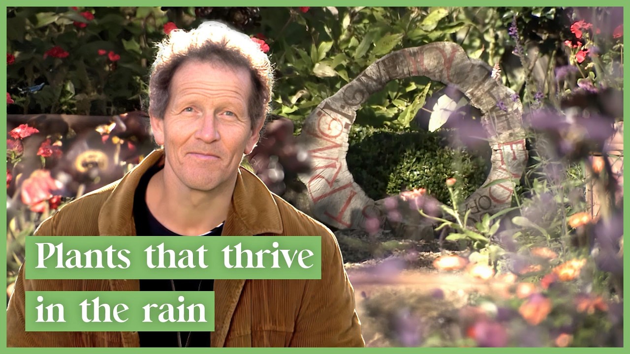 Monty Don Explores a Jungle Backyard | Season 4 | Full Episodes | Gardeners' World