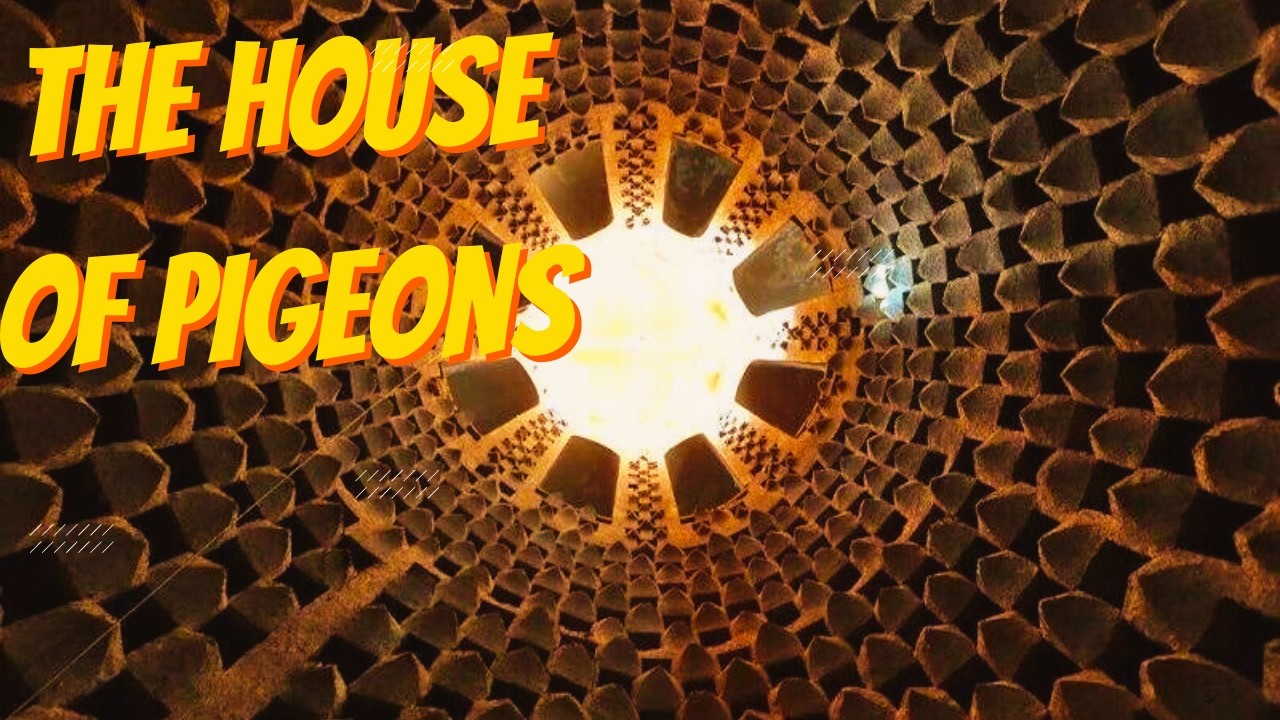 A building for pigeons | Visiting the dovecote |