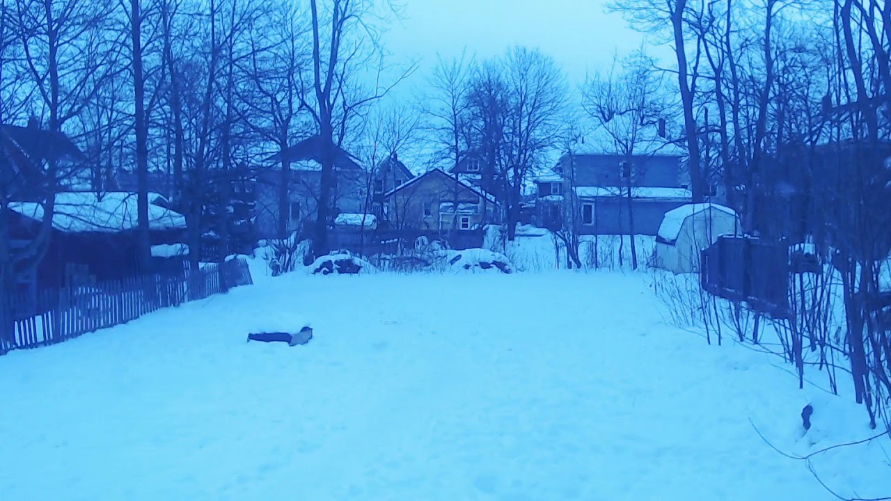 Sunny snow day! asmr