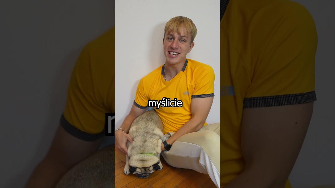 Najtańsza vs najdroższa karma dla ps&oacute;w ze sklepu🐶🛒