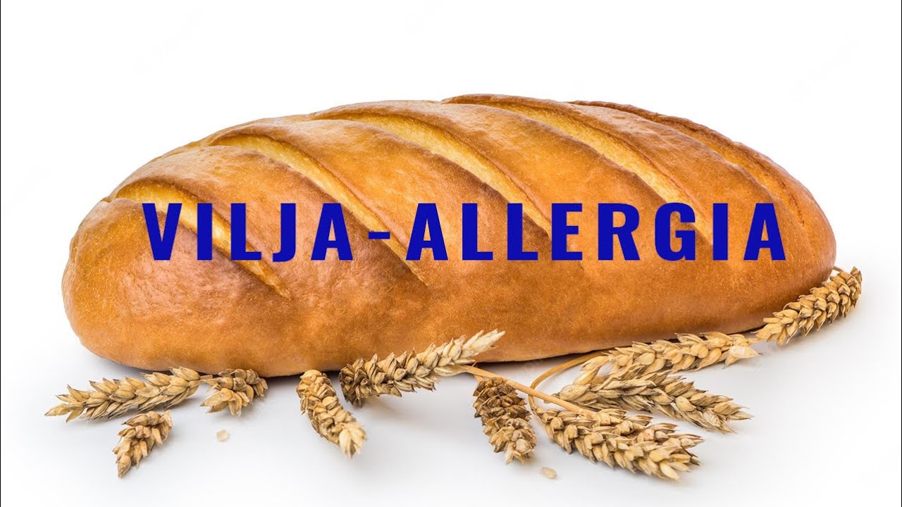 Vilja allergia (vehnä, ohra ja ruis)