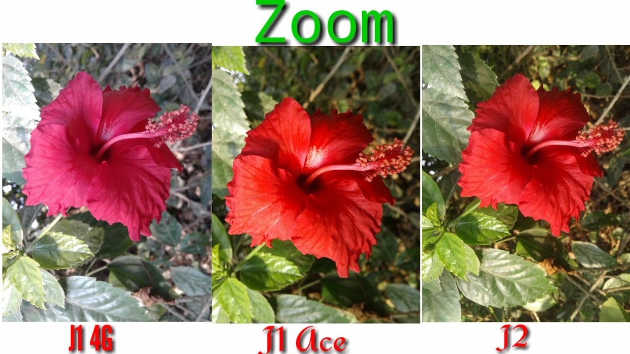 Samsung Galaxy J1 4g Camera Review Vs J2 Vs J1 Ace