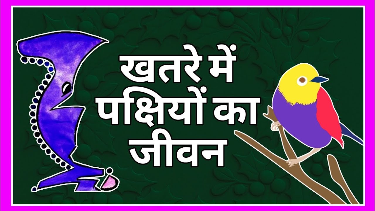 SAVE 🐦 BIRDS 🐦 😌 