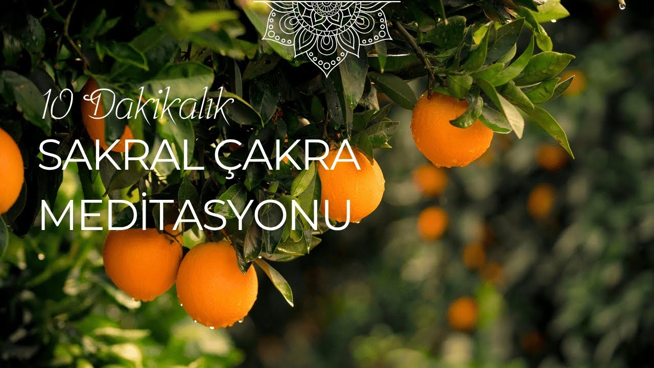 Sakral Çakra Meditasyonu (Svadhisthana) | Yaratıcılık, Duygular ve Cinsel Enerji | 7 Çakra Serisi #2