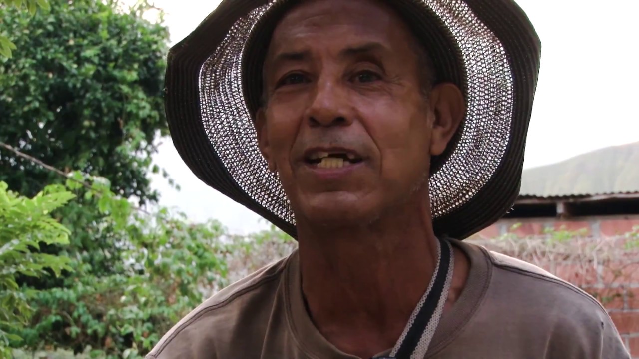 Cañoneros del río Cauca